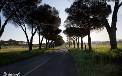 Campagna Romana